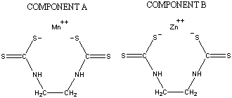 ���������͍\����:20B0364