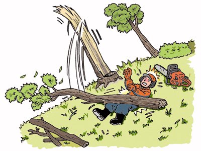 雑木を伐採中、木が裂けて折れ、折れた木の下敷きとなる