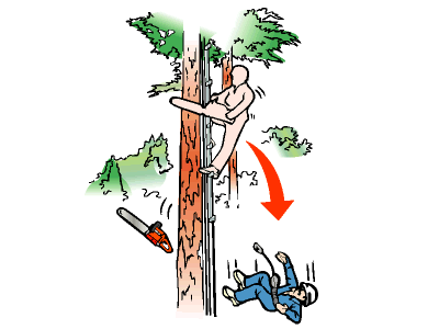 農道開設工事で杉の枝払い作業のため「はしご」を移動中に墜落